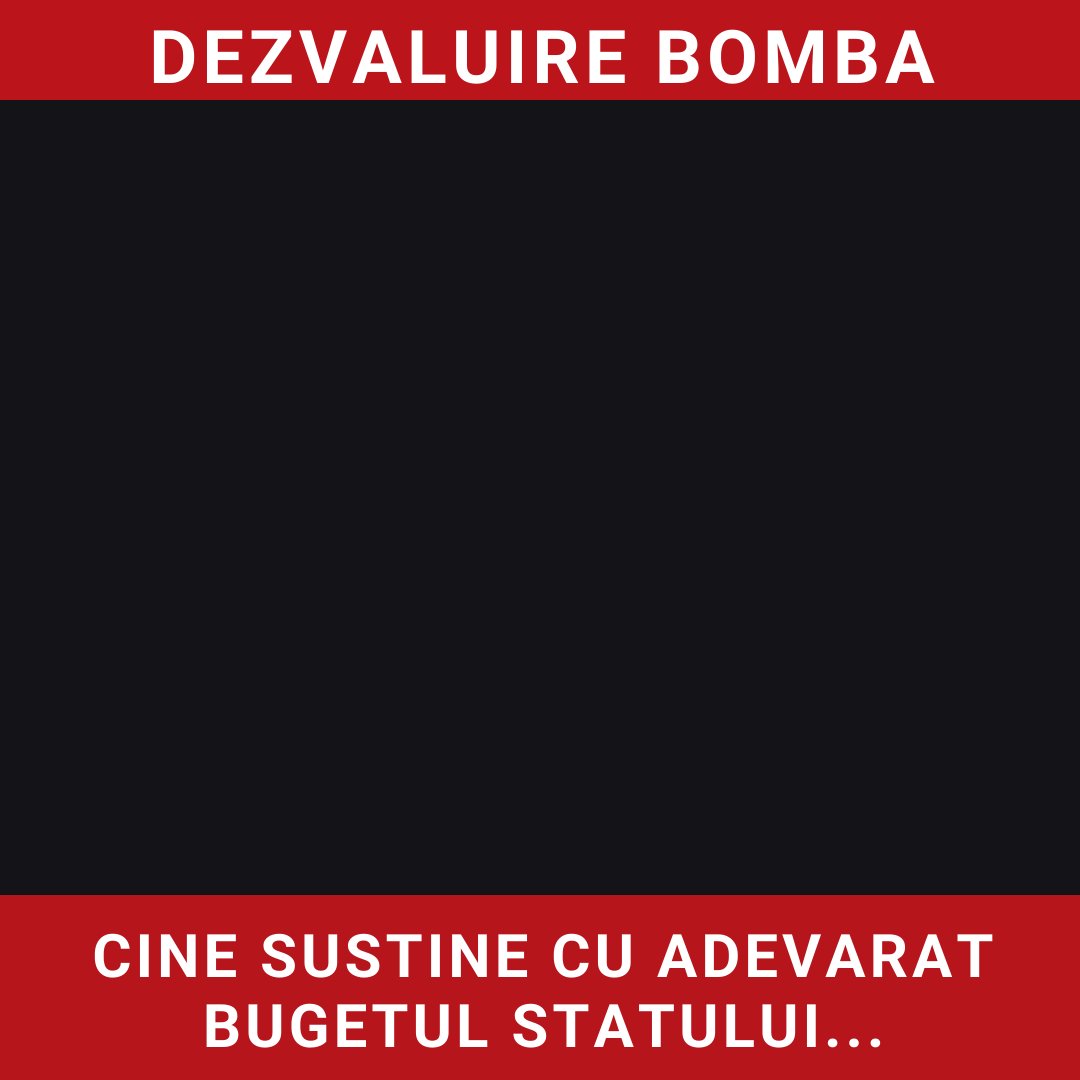 Cine susține cu adevărat bugetul statului român?