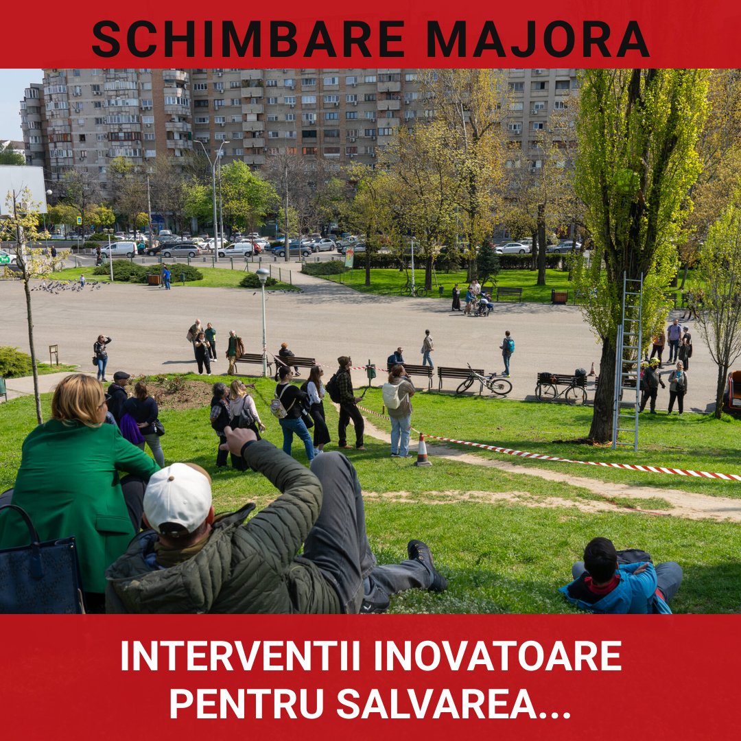 Declinul arborilor din Parcul Tineretului: Intervenții inovatoare pentru salvarea plopilor