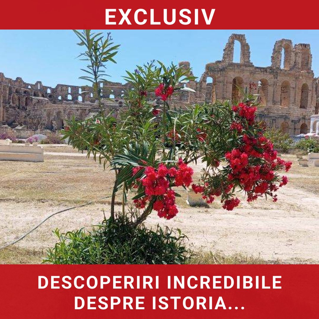 Descoperirea Tunisiei: O călătorie prin istoria imperiilor și frumusețea deșertului
