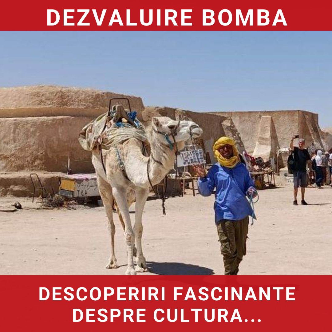 Oameni și locuri: Descoperind Tunisia prin intermediul experiențelor locale