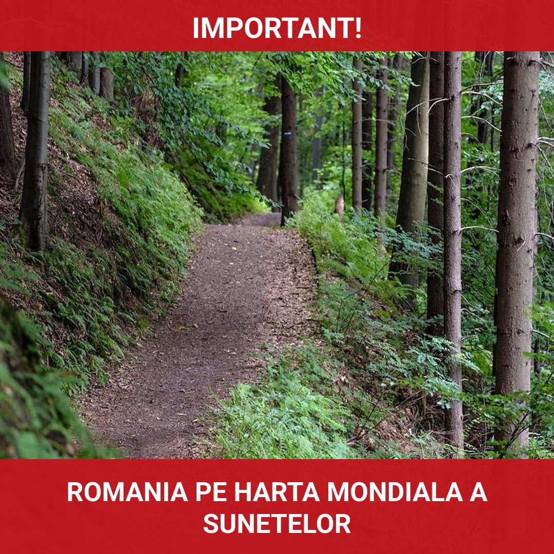 România devine parte a hărții mondiale a sunetelor cu pădurile din Vânători Neamț