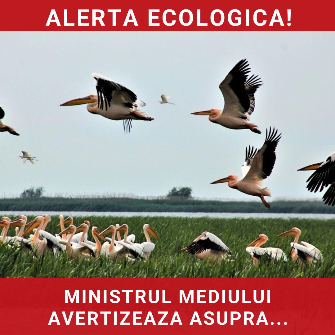 Situația alarmantă din Delta Dunării: Ministrul Mediului avertizează asupra dezastrului ecologic